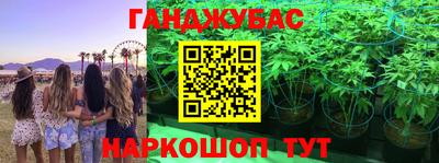 дмт Краснознаменск