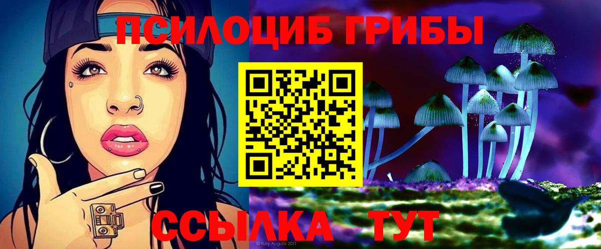 Псилоцибиновые грибы Magic Shrooms  Вход с VPN  Чита 